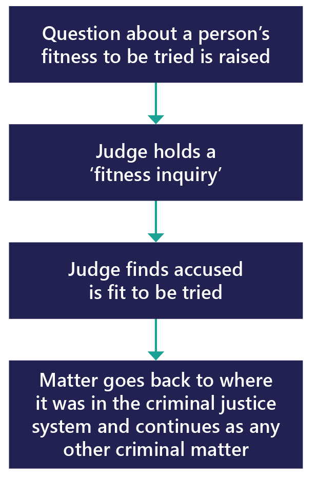 Accused is fit to be tried diagram
