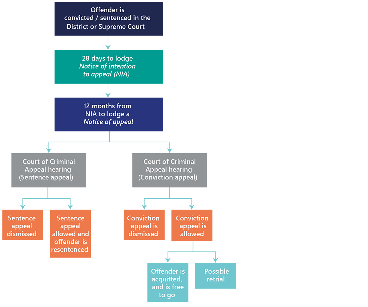 Appeals to the CCA Diagram