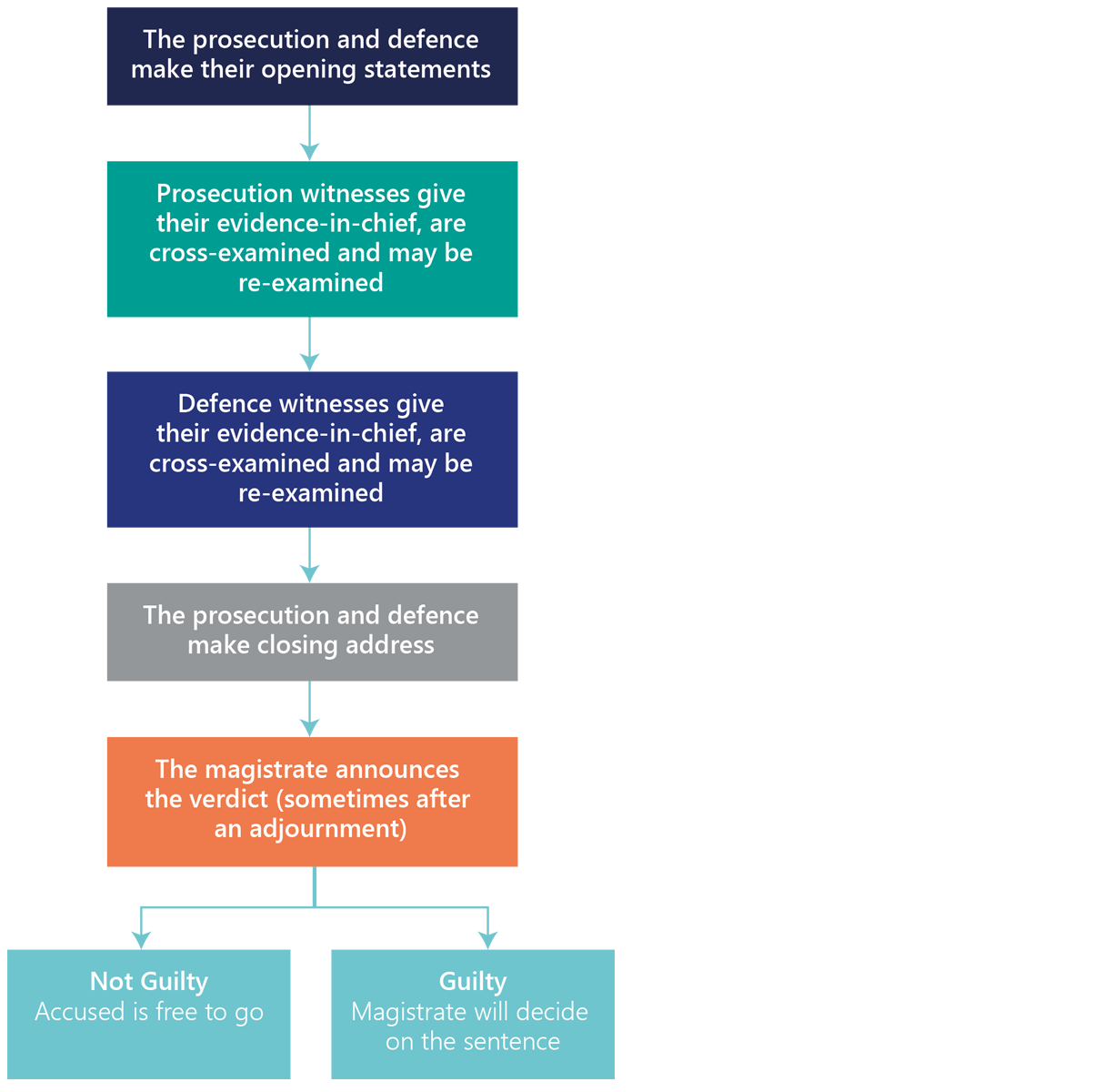 Steps in a Local Court hearing_Diagram