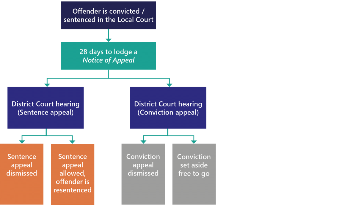 Appeals to the District Court Diagram