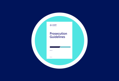 Prosecution Guidelines Icon
